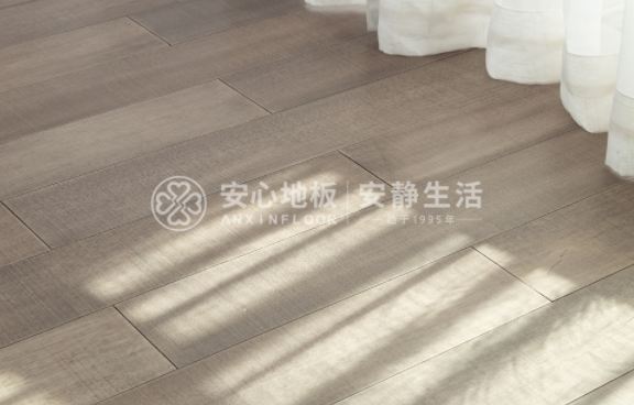 圓盤豆2.png 圓盤豆2.png